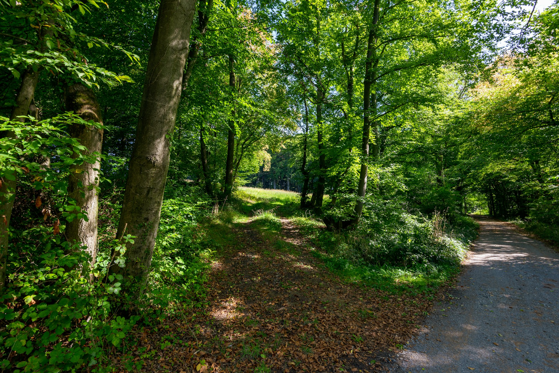 When Anxiety Masquerades as Discernment