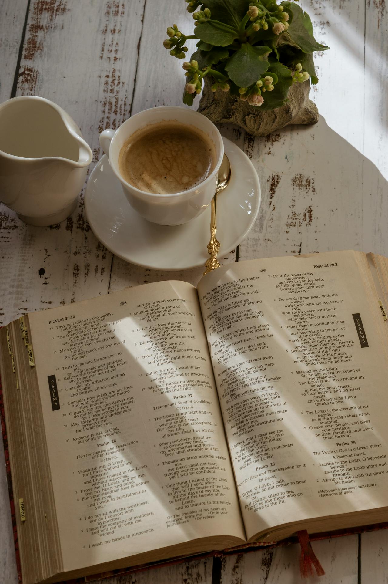 Open Bible, cup of coffee, and flowers on a wooden table in soft natural light, symbolizing prayerful reflection and quiet Christian witness.